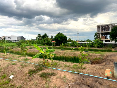 ที่ดิน เขตดอนเมือง : ขายที่ดินเปล่า 745 ตร.ว. ซ.เทิดราชัน 47 ดอนเมือง ทำเลทอง ติดถนนเทิดราชัน