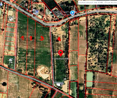 ที่ดิน สุพรรณบุรี : ขายด่วน! สวนไผ่ซางหม่น 68 ไร่ สุพรรณบุรี—พร้อมเก็บเกี่ยว ทำเงินได้ทันที!