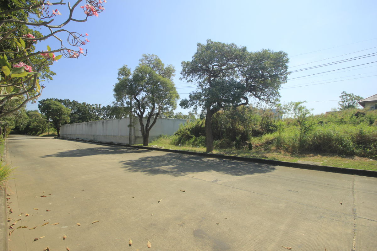 รูป ที่ดินปิ่นเกล้านครชัยศรี บรมราชชนนี วริยาวิลล์ 396.8วา เหมาะสร้างบ้าน ออฟฟิศ สำนักงาน ใกล้เซ็นทรัลศาลายา มหิดลศาลายา - รูปที่ 17/17