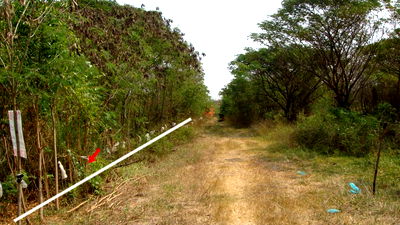 ที่ดิน นนทบุรี : ที่ดินไทรน้อยหนองเพรางาย นนทบุรีเนื้อที่1ไร่ แปลงผืนผ้าสวย ออกซ.วัดลาดปลาดุกบางบัวทอง/ศาลายา พุทธมณฑลได้เหมาะปลูกบ้านสวน