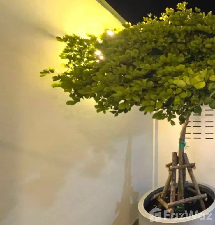 รูป ขาย บ้านเดี่ยว 3 ห้องนอน ใน ลาดพร้าว, กรุงเทพมหานคร 5961527 - รูปที่ 13/23