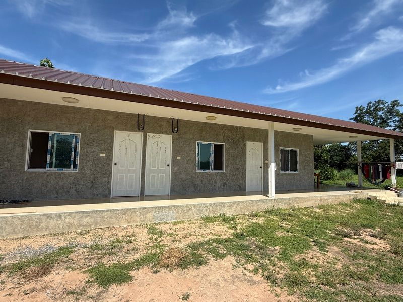 รูป 🎋 ขายด่วน! สวนไผ่ซางหม่น 75 ไร่ สุพรรณบุรี—พร้อมเก็บเกี่ยว ทำเงินได้ทันที! - รูปที่ 8/11