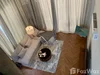 listing thumbnail image 34