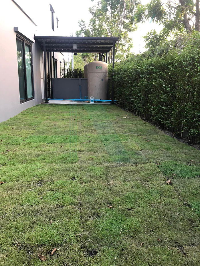 รูป 📌 ขายทาวน์เฮาส์ โครงการ พลีโน่ บางนา-วงแหวน 2 ชั้น 3 ห้องนอน 2 ห้องน้ำ - รูปที่ 2/8