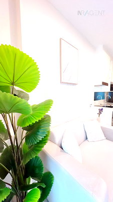 คอนโดให้เช่า : 🎊 ให้เช่าคอนโด เดอะ สกาย สุขุมวิท อาคาร E ชั้น 5 1 ห้องนอน ขนาด 35.00 ตรม ใกล้ โรงเรียนนานาชาติ เบิร์คลีย์ บางนา