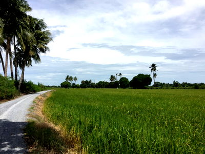 Land for sale Muang Suphanburi Suphanburi : Land in Suphan Buri at Mueang Suphan Buri