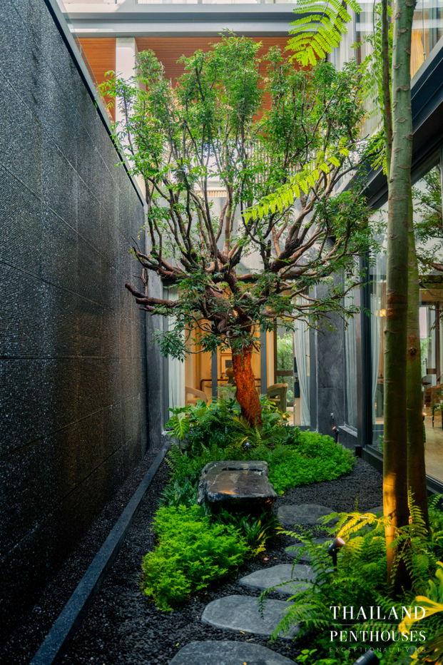 picture A detached house by SC Asset. Only 5 units available at Sonle Residences, Bang Sue District. Land area: 716 sq.m. 7 bedrooms, 5 bathrooms. - 3/10