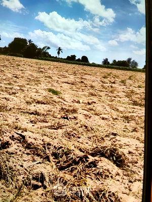 ที่ดิน เซ็นทรัล ศรีราชา : ที่ดินสำหรับปล่อยขาย 16,000 ตารางเมตร แถว ใน ศรีราชา (ID 2520372)