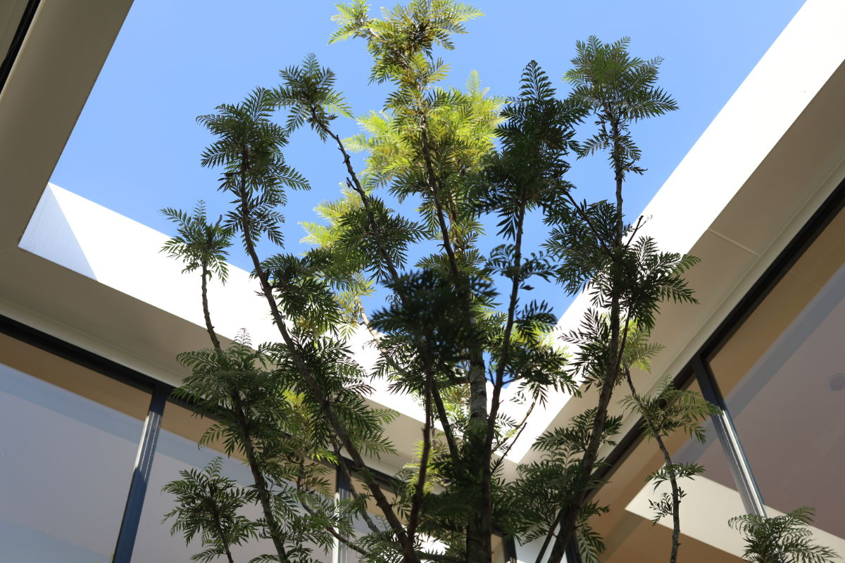 รูป 🏠ขายบ้านเดี่ยว 112 ตร.ว หมู่บ้านเทพธานี เฉลิมพระเกียรติ ร.9 💢(บ้านสร้างใหม่ ออกแบบเฉพาะ หรูหรา โดดเด่น)💢 - รูปที่ 14/18