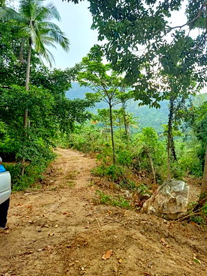 Land for sale Ko Samui Surat Thani : Koh Samui SeaView Land Good Price