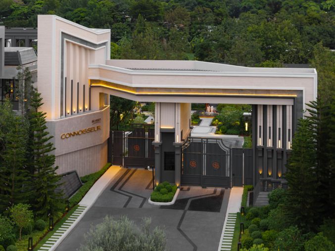 คอนนาเซอร์ พัฒนาการ