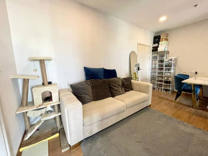 รูป เลี้ยงสัตว์ได้ pet friendly ย่านพระราม9 รามคำแหง ใกล้แอร์พอร์ตลิงก์รามคำแหง - รูปที่ 4/12