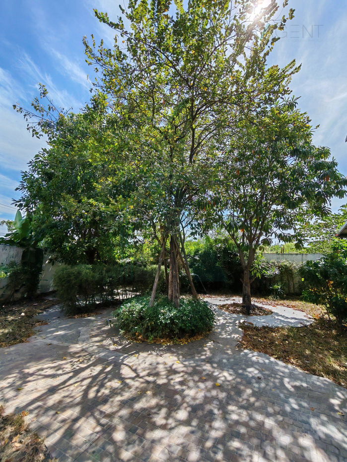 รูป 📌 ขายทาวน์เฮาส์ โครงการ ไลโอ บลิสซ์ ลาดกระบัง-ฉลองกรุง 2 ชั้น 4 ห้องนอน 2 ห้องน้ำ - รูปที่ 3/8