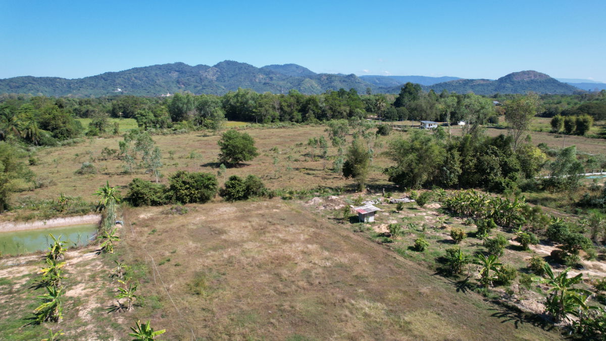 รูป ขายที่ดินถมแล้ว 2 ไร่ วิวเขาชัด อ.บ้านนา จ.นครนายก ขายยกแปลงพร้อมโอน 2.9 ล้านบาท - รูปที่ 11/25