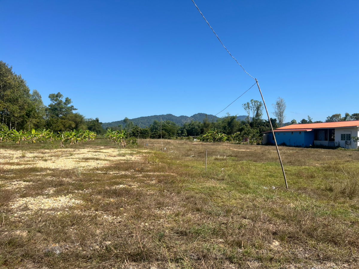 รูป ขายที่ดินถมแล้ว 2 ไร่ วิวเขาชัด อ.บ้านนา จ.นครนายก ขายยกแปลงพร้อมโอน 2.9 ล้านบาท - รูปที่ 22/25