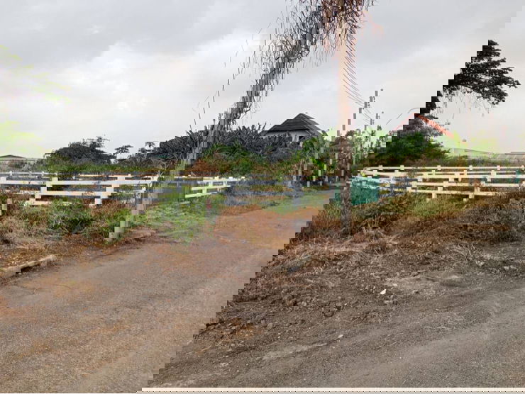 รูป ขายที่ดินต่ำกว่าราคาประเมิน เนื้อที่ 95 ตรว.ถมเรียบร้อยพร้อมล้อมรั้ว คาวบอย ใน ม.เมืองเอก ซ.เทศบาลบางปู 85 ต.บางปูใหม่ อ.เมือง จ.สมุทรปราการ - รูปที่ 8/10