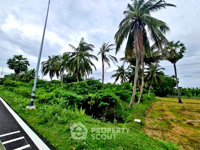 เช่าที่ดิน เพชรบุรี : ที่ดินให้เช่าใกล้สถานีรถไฟเพชรบุรี ตำบลท่าราบ เมืองเพชรบุรี (35,000 บาท/เดือน) (ID 2528059)