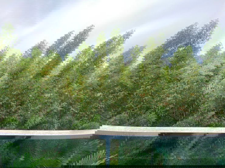 picture Dusit Grand Park Condominium Location: Jomtien-Theppasit17 - 16/20