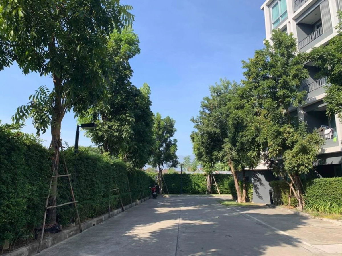 รูป ขายคอนโดใกล้เซ็นทรัลเชียงใหม่ ดิอามองต์ คอนโดมิเนียม วิวสระ ห้องสวยมาก โทร 082-389-9314 บู - รูปที่ 19/27