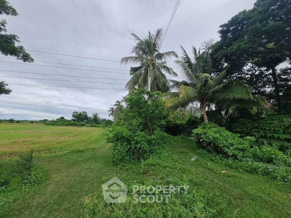 รูป ที่ดินให้เช่าใกล้สถานีรถไฟเพชรบุรี ตำบลท่าราบ เมืองเพชรบุรี (35,000 บาท/เดือน) (ID 2528059) - รูปที่ 5/5