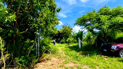 ที่ดิน องครักษ์ นครนายก : ขายที่ดิน 2 งาน 95 ตารางวา ที่ดินทำการเกษตร+บ้านไม้ อำเภอองครักษ์ จังหวัดนครนายก