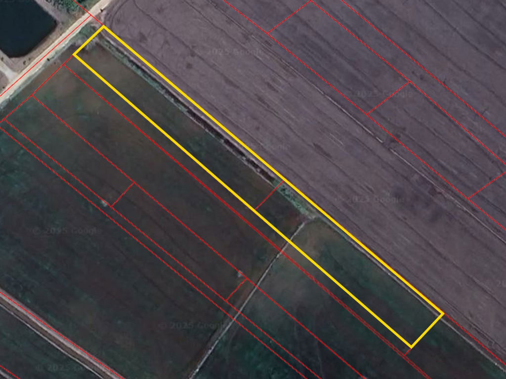 รูป ขายที่นา 2 แปลง บางบ่อ สมุทรปราการ ใกล้สุวรรณภูมิ เหมาะเกษตร–ลงทุน - รูปที่ 1/4