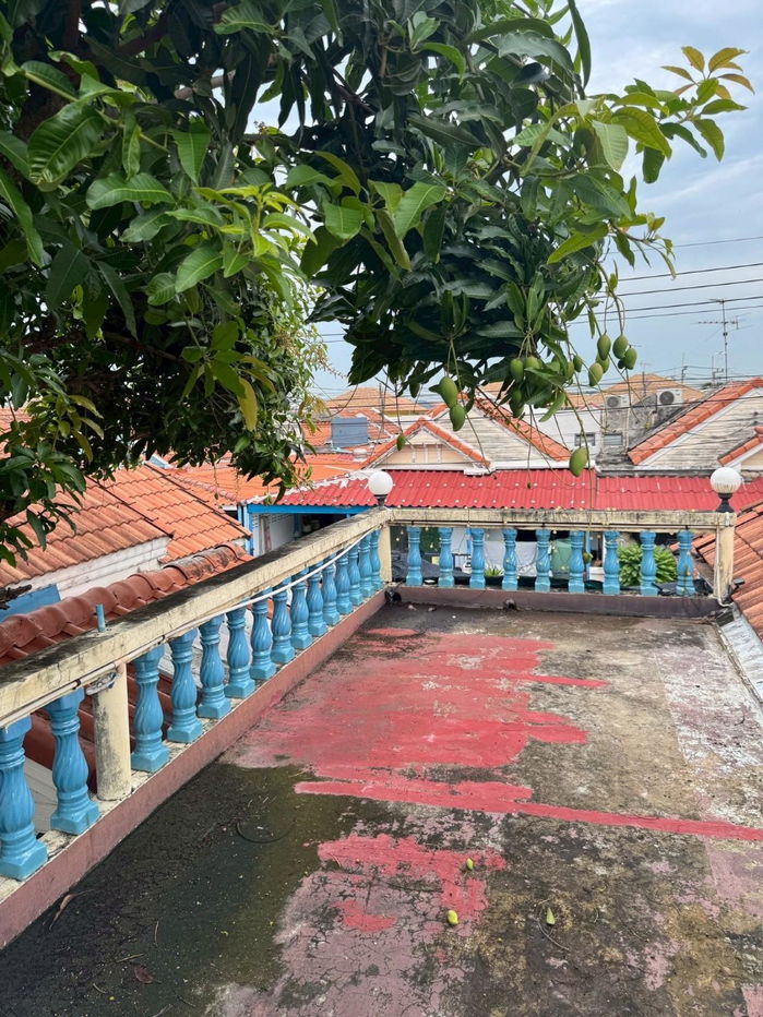 รูป ขาย ทาวน์เฮ้าท์ ชั้นเดียว 2 หลังทะลุเป็นหลังเดียว มีดาดฟ้า หมู่บ้านวรารักษ์ รังสิต - คลองสาม คลองหลวง ปทุมธานี - รูปที่ 11/11