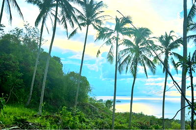 Land for sale Ko Samui Surat Thani : [920121018-193] Seaview Land in Taling Ngam Koh Samui for Sale