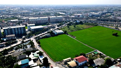 ที่ดิน บิ๊กซี บางใหญ่ : ขายด่วนที่ดิน 7 ไร่ หลังศูนย์รถไฟฟ้าสายสีม่วง! ใกล้ Central Westgate เพียง 5 นาที 🛍️