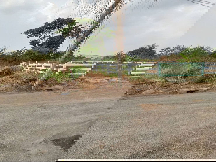 รูป ขายที่ดินต่ำกว่าราคาประเมิน เนื้อที่ 95 ตรว.ถมเรียบร้อยพร้อมล้อมรั้ว คาวบอย ใน ม.เมืองเอก ซ.เทศบาลบางปู 85 ต.บางปูใหม่ อ.เมือง จ.สมุทรปราการ - รูปที่ 6/10