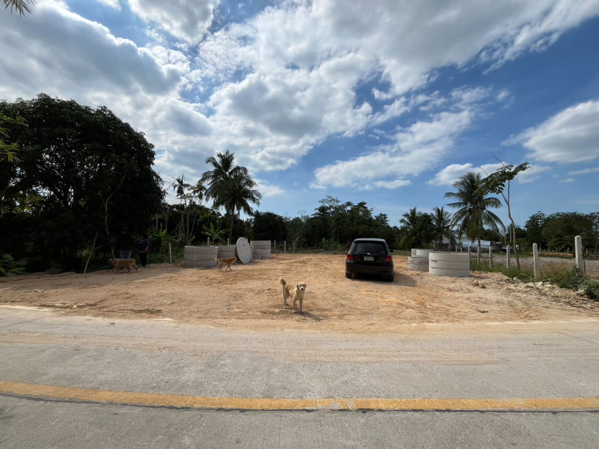 รูป ที่ดินว่างเปล่า ที่ดินถมแล้ว สำหรับสร้างบ้าน ต.หนองปรือ อ.บางละมุง จ.ชลบุรี 💰ราคา 2,500,000 บาท 💰 - รูปที่ 9/9