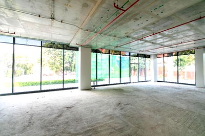 เช่าสำนักงาน ถนนเทียมร่วมมิตร : ยกระดับแบรนด์ของคุณ! เช่าพื้นที่ Showroom & Office ชั้น 1 ติดหน้าตึก บรรยากาศ Green Oasis 🌿