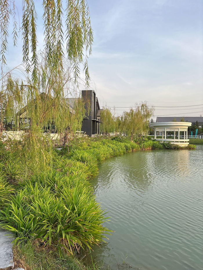 รูป ขายทาวน์โฮม 2 ชั้นซิตี้เซนส์ราชพฤกษ์ 345 สภาพสวยพร้อมอยู่ ใกล้คลับเฮาส์ ต่อเติมครัวและโรงจอดรถแล้ว - รูปที่ 12/15