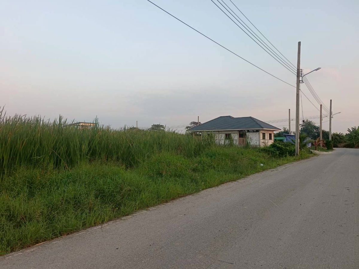 picture Land for sale: vacant land of 297 sq.wah located in Bang Muang , Bang Yai , Nonthaburi. Price: THB 20,000 per sq.wah. Conveniently located nea Market - 7/9