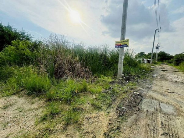 รูป ขายที่ดินถูกต่ำกว่าราคาตลาด 94 ตรว. มีให้เลือกหลายแปลง ซ.มหาชัย ใกล้เมกะบางนา บางพลี สมุทรปราการ - รูปที่ 5/7