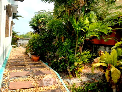 บ้านเดี่ยว พิพิธภัณฑ์ช้างเอราวัณ : บ้าน 3-ห้องนอน ใกล้ BTS ปู่เจ้า (ID 1492278)