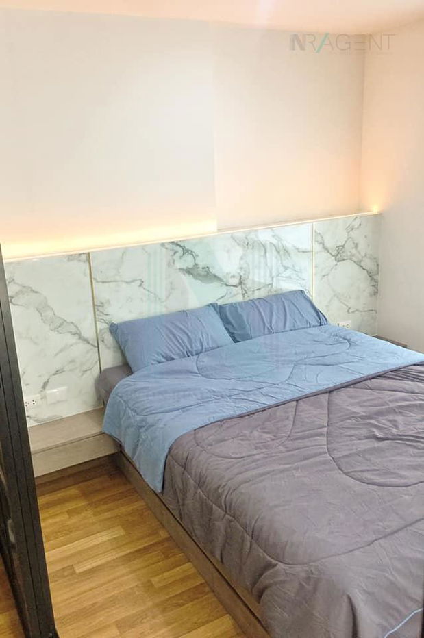 picture ð For Rent Condo REGENT HOME SUKHUMVIT 81 Building C, Floor 8,1 bed room, Room size 28.00 sqm - 7/8