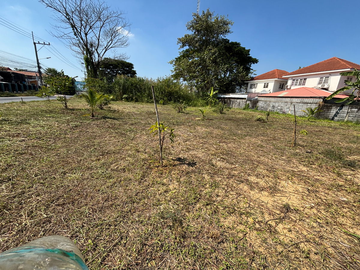 picture Land Samphran Nakronpathom 105-212 - 10/10