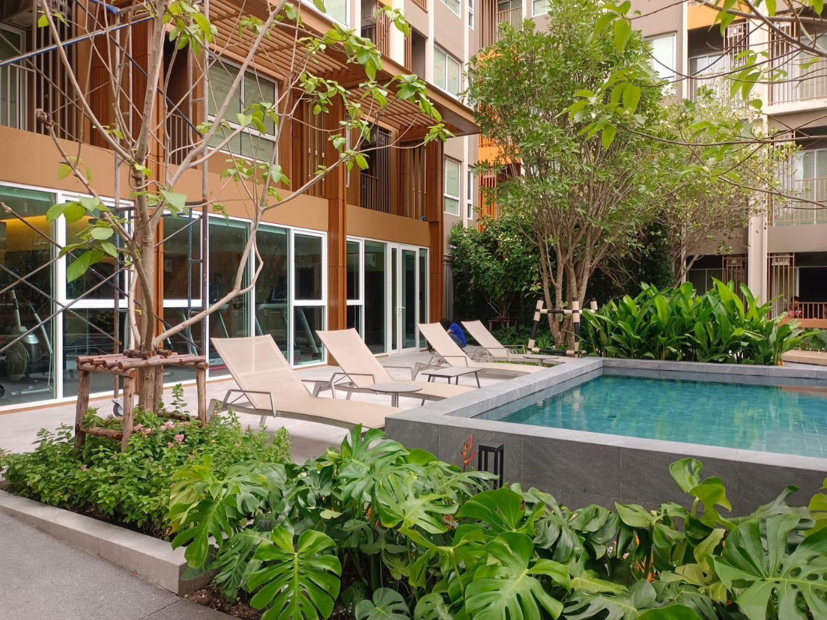 รูป ให้เช่า Dcondo Panaa ศิริราช จรัญ - รูปที่ 11/12