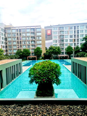 Condos for sale 700 Year Sports Arena Chiang Mai : 🏡 For Sale‼️ D Condo Sign Chiang Mai | Next to Central Festival