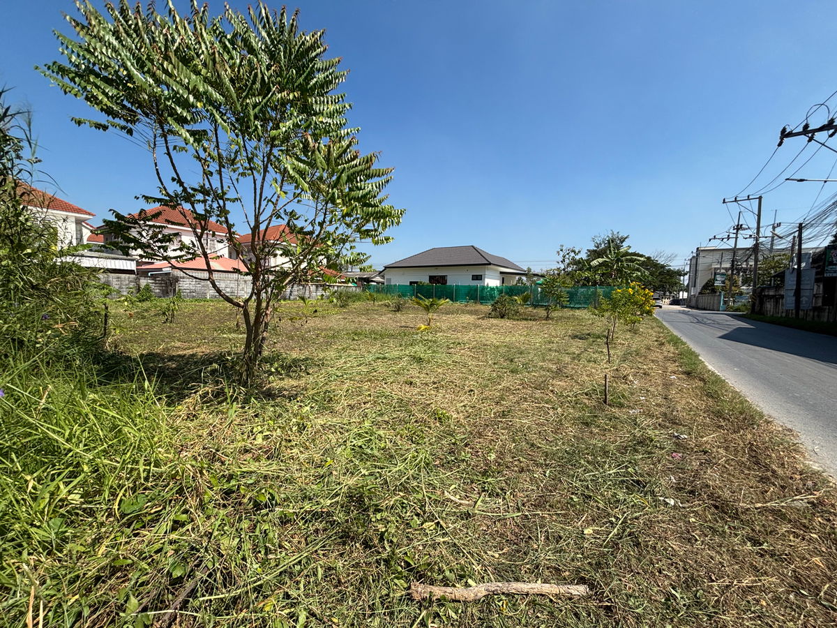 picture Land Samphran Nakronpathom 105-212 - 9/10