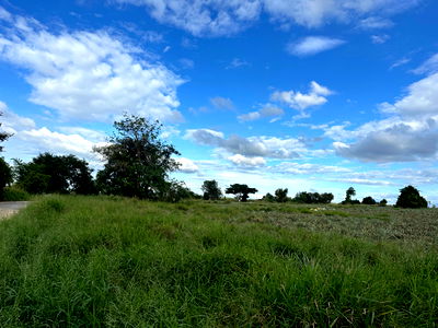 ที่ดิน บ่อวิน : ขายที่ดิน ใกล้นิคมอุส่าหกรรม บ่อวิน-ชลบุรี