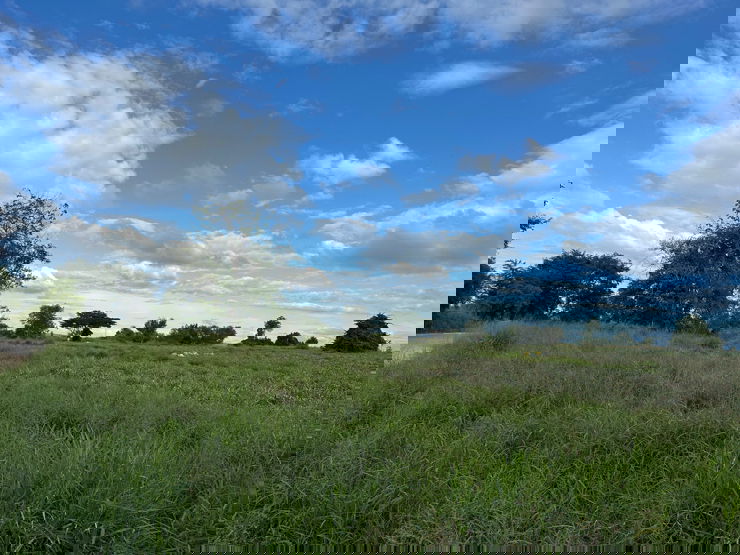 รูป ขายที่ดิน ใกล้นิคมอุส่าหกรรม บ่อวิน-ชลบุรี - รูปที่ 1/10