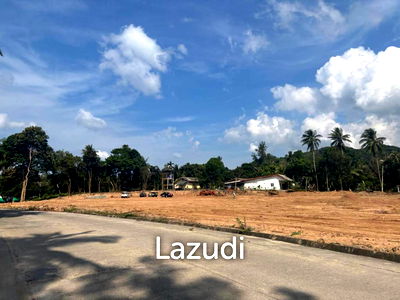เช่าที่ดิน สุราษฎร์ธานี : Land for Lease – 350 m² Plots – Prime Location