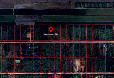 Land for sale Nong Sua Pathumthani : For sale: Vacant land measuring 2 rai 2 ngan 0 sq.wah, located in Bueng Ba Tai Subdistrict, Nong Suea District, Pathum Thani Province.