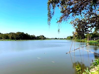 Land for sale Muang Kamphaeng Saen Boyscouts Camp : Land for sale on the Nakhon Chai Si River, Nakhon Pathom Province. Excellent location. Land is already leveled.