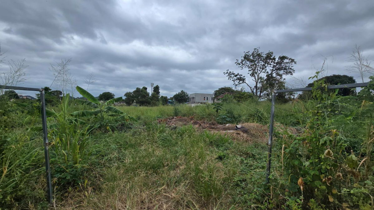 รูป ขายที่ดินศรีราชา ชลบุรี ผังสีส้ม ใจกลางชุมชน เจ้าของขายเอง เหมาะพัฒนาโครงการทาวน์โฮม-คอนโด Low-rise - รูปที่ 1/6