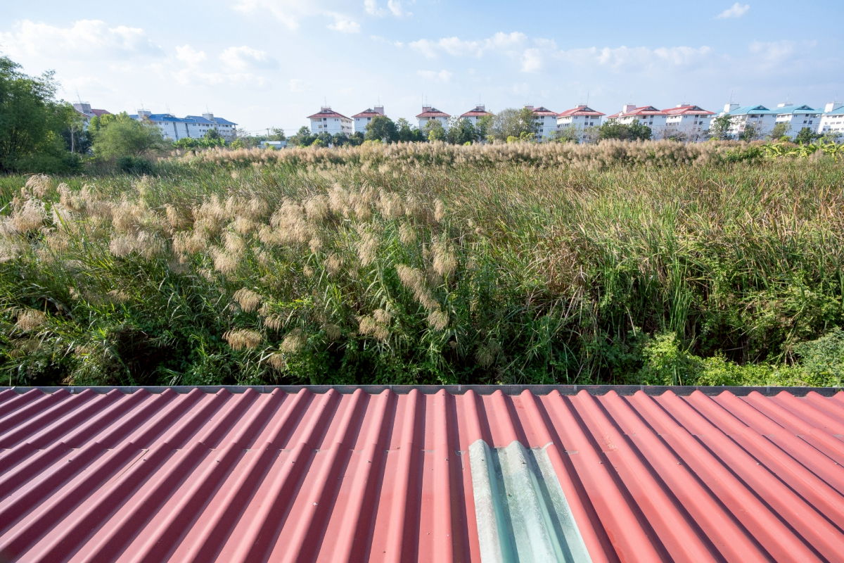 รูป ให้เช่าบ้านแสงชัยพัฒนา ซอย 10 อ.เมือง จ.ปทุมธานี (เยื้องกับโรงเรียนปทุมวิไล) - รูปที่ 20/26