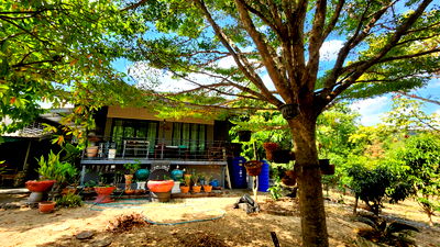 Land for sale Kaeng Krachan Petchburi : Land for sale in Kaeng Krachan with buildings. Total area 12-2-49 rai, with road frontage. Front width 50 meters, depth 440 meters.