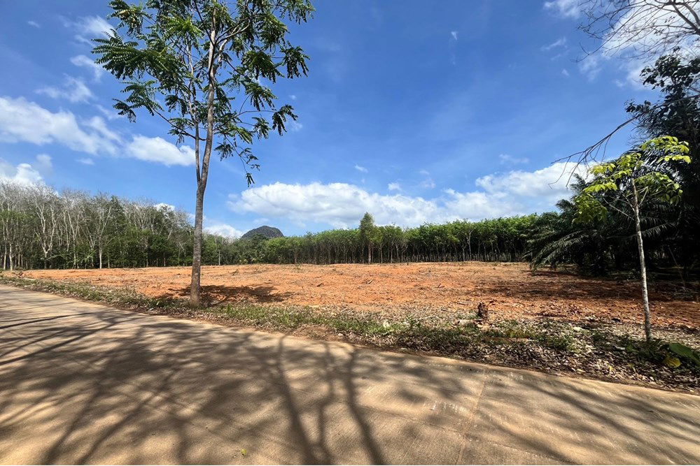 รูป [920281023-22] ขายที่ดินวิวภูเขา ทำเลศักยภาพ ใกล้หาดอ่าวนาง - รูปที่ 5/14